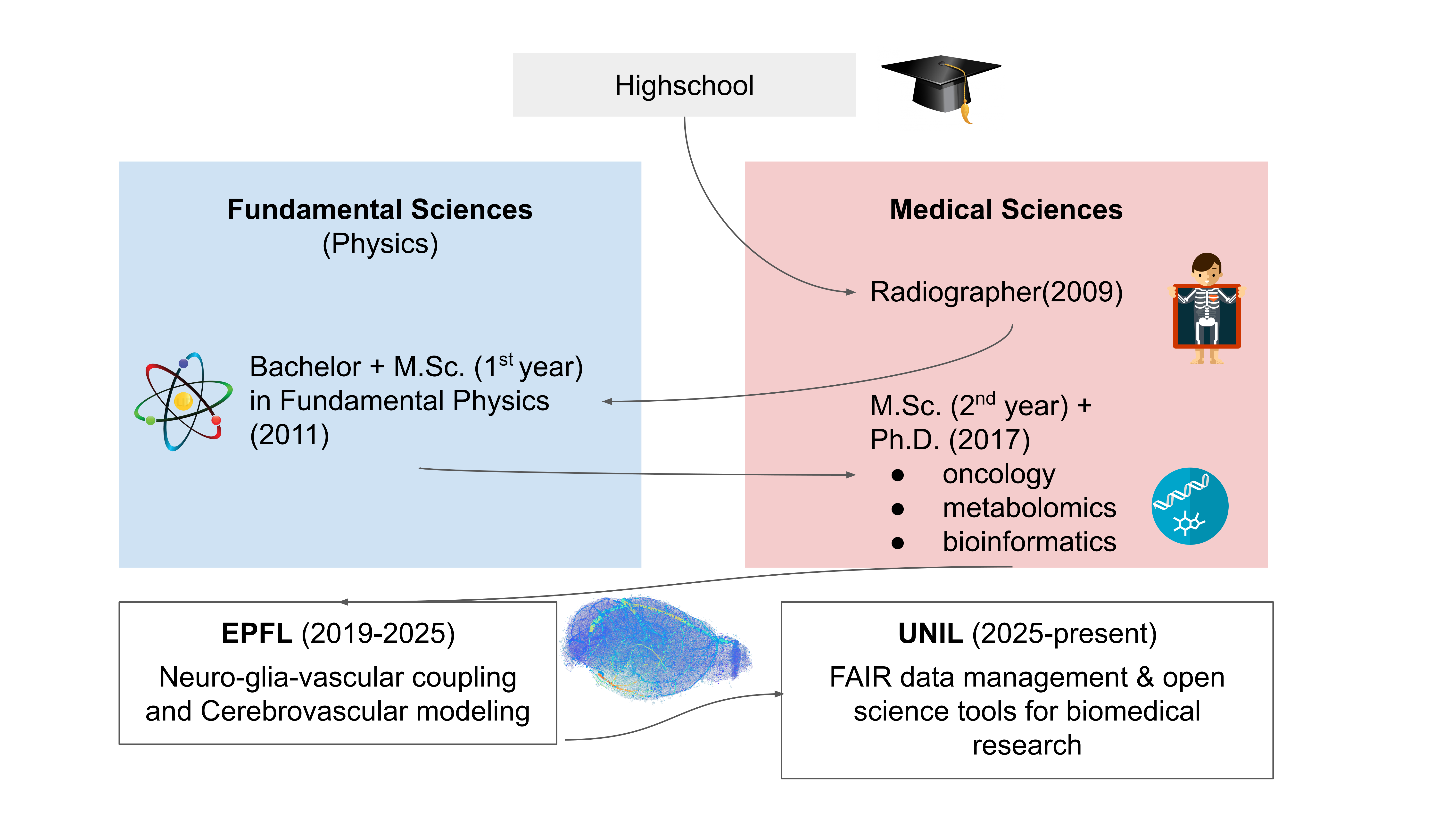 Education and Career Timeline