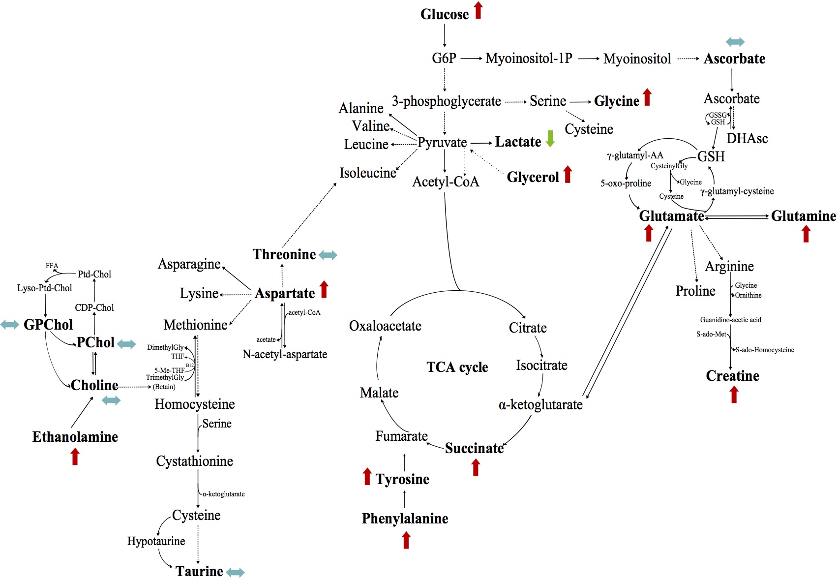Pancreatic Cancer Research
